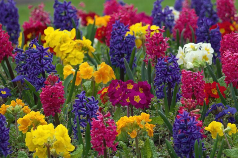 flowers-7245145_1920